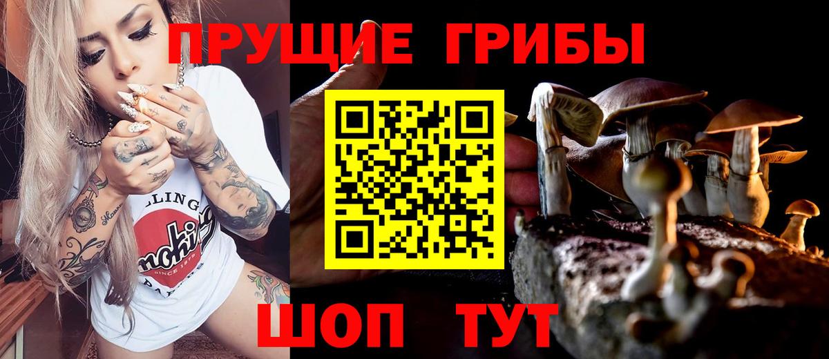 Каменск-Уральский  Галлюциногенные грибы прущие грибы  Вход с VPN 